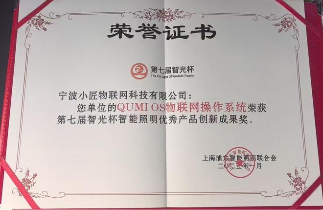 杯奖项推动智能照明行业迈向新高度EVO视讯真人小匠物联荣获智光(图2)