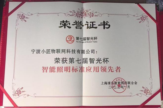 杯奖项推动智能照明行业迈向新高度EVO视讯真人小匠物联荣获智光(图3)
